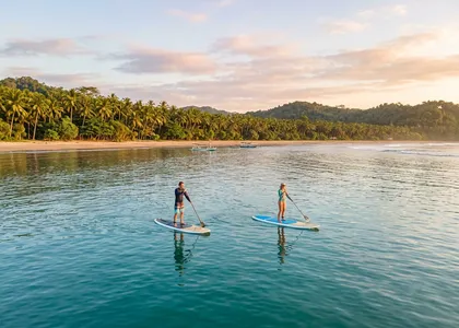 Paddle Board