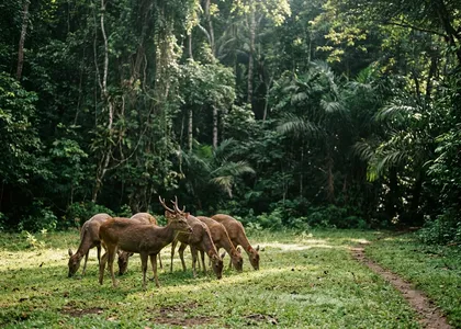 Cagar Alam Pangandaran